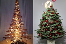 Điểm danh những cây thông đang "hot hit" trên thị trường Noel