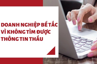 Doanh nghiệp có giải pháp mới để tiếp cận thông tin thầu
