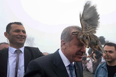 Tổng thống Thổ Nhĩ Kỳ bị gà bay vào mặt