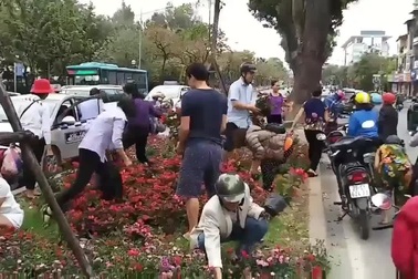 Người dân 'hôi hoa' trên đường Kim Mã.mp4