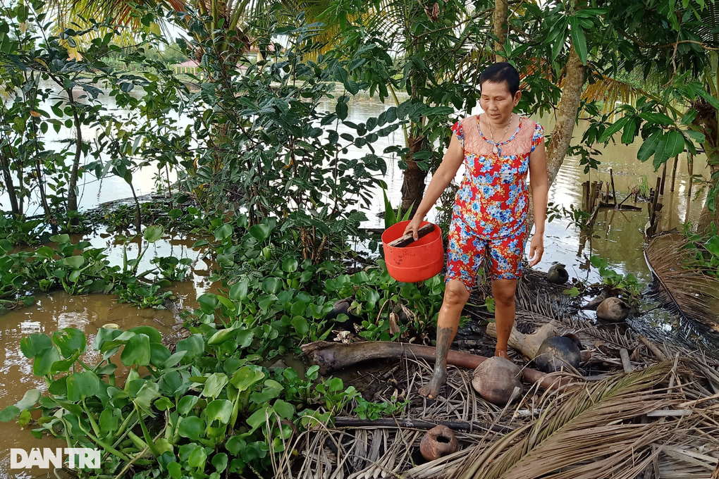 Cha mẹ bỏ rơi, bé 8 tuổi sống lay lắt với ngoại nghèo, nguy cơ thất học - 2 Cha mẹ bỏ rơi, bé 8 tuổi sống lay lắt với ngoại nghèo, nguy cơ thất học - 2