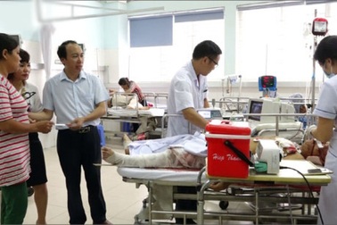 Trao toàn bộ tiền bảo hiểm cho gia đình chủ trâu Đồ Sơn