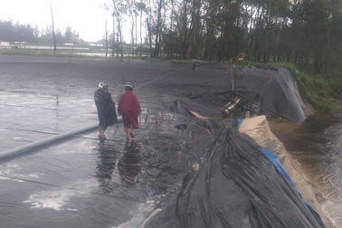 Xót xa nhìn hồ tôm bị lũ cuốn trôi trước ngày thu hoạch