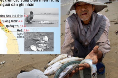 Đa số người dân Việt Nam chọn bảo vệ môi trường, hy sinh tăng trưởng