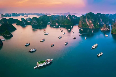 Cục trưởng Cục Di sản văn hóa: 775 hòn đảo ở vịnh Hạ Long vẫn được bảo tồn