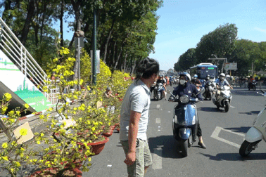 Hoa Tết giảm giá tràn ra đường, người dân tấp nập ghé mua ở TPHCM