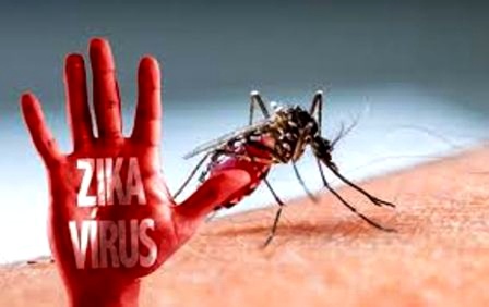 TPHCM: Chỉ còn duy nhất 1 quận huyện chưa bị dịch Zika tấn công