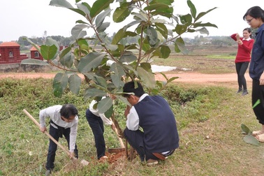 Nhân lên nét đẹp “Tết trồng cây”