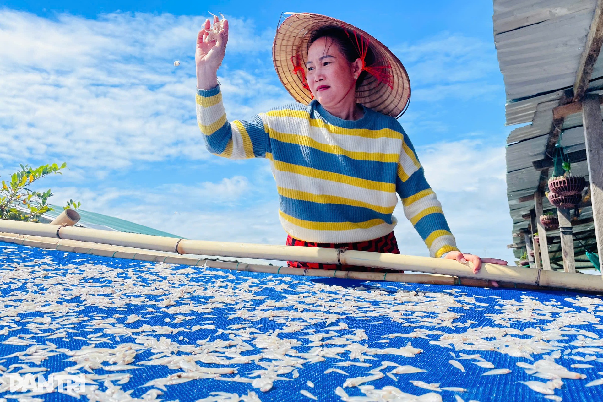 Tay trắng lên núi, người miền Tây dựng làng chài, đổi vận ở lòng hồ Sê San - 6 Tay trắng lên núi, người miền Tây dựng làng chài, đổi vận ở lòng hồ Sê San - 6