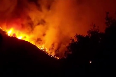 Cháy rừng xảy ra ở Mỹ vì tiệc tiết lộ giới tính thai nhi