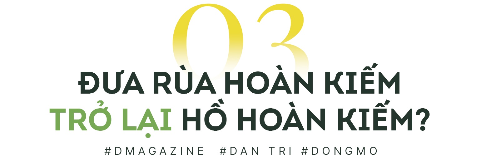 Cá thể rùa 150kg ở Đồng Mô từng dìm thuyền của chúng tôi chúi xuống nước - 7 Cá thể rùa 150kg ở Đồng Mô từng dìm thuyền của chúng tôi chúi xuống nước - 7