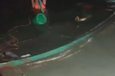 Giông tố bất ngờ nhấn chìm 10 thuyền cá trong đêm