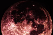 Chiêm ngưỡng nguyệt thực nửa tối tuyệt đẹp vào đêm qua tại Việt Nam