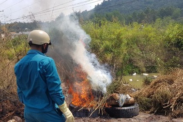 Phát hiện ổ dịch tả lợn Châu Phi tại Lâm Đồng