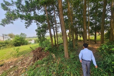 Lộ sự thật phía sau những cơn sốt đất ảo, "cò" nhận trái đắng vì nợ nần