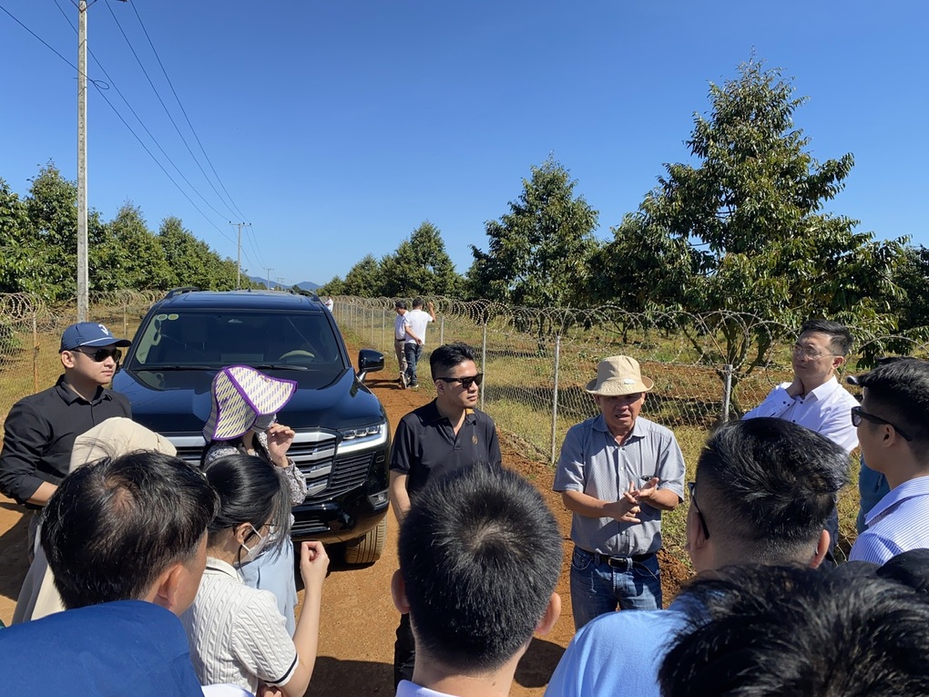 Bau Duc: Mulberry kan overgå bananer og bli HAGLs viktigste inntektskilde - 2 Bầu Đức: Dâu tằm có thể vượt chuối, thành mảng thu chính của HAGL - 2