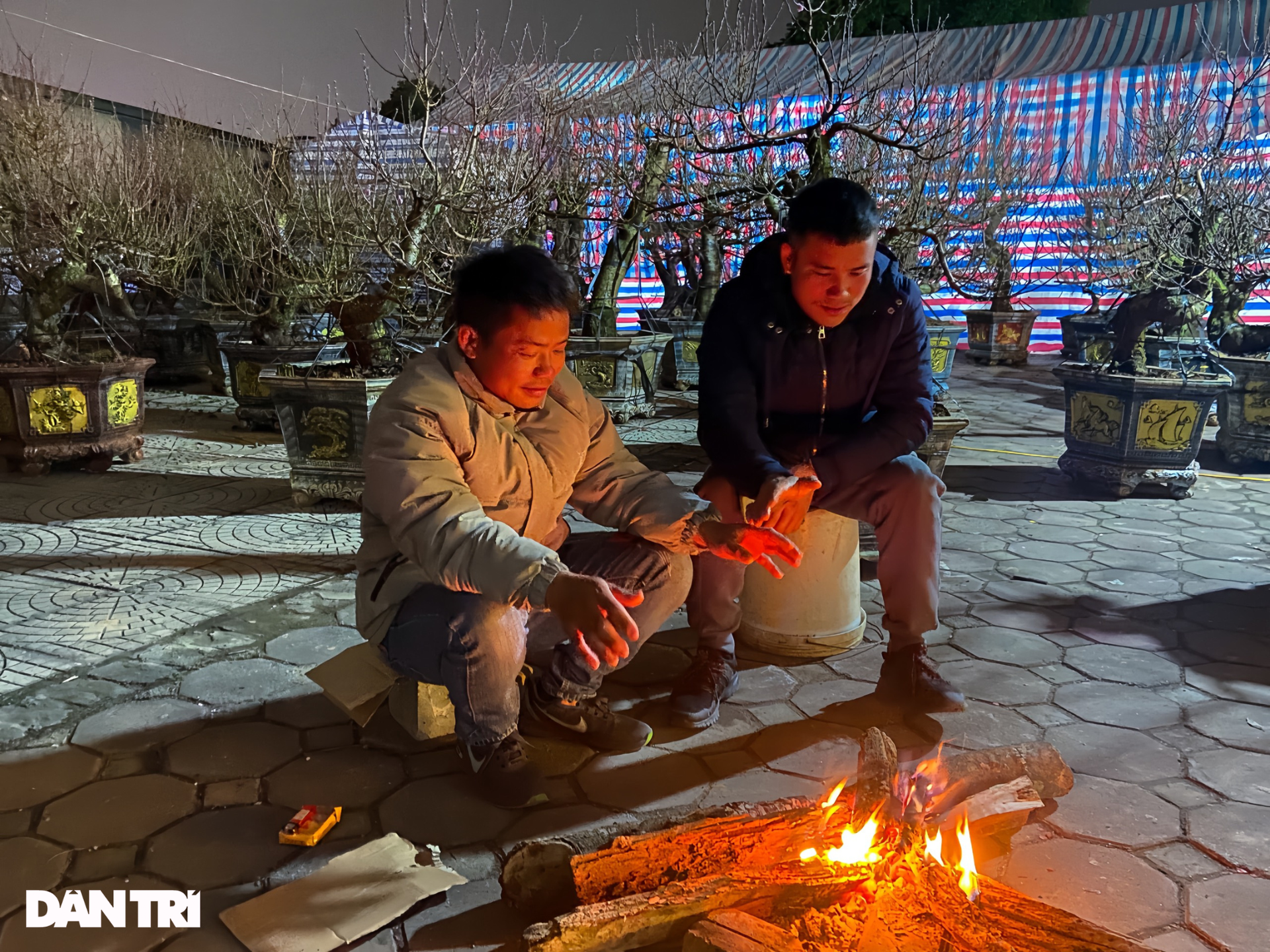 Tiểu thương thấp thỏm trông hoa Tết những đêm rét kỷ lục tại Hà Nội - 9 Tiểu thương thấp thỏm trông hoa Tết những đêm rét kỷ lục tại Hà Nội - 9