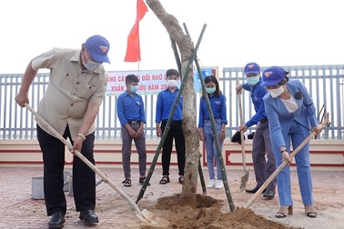 Bình Định: Mỗi đoàn viên, thanh niên trồng và chăm sóc 1 cây xanh