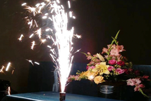 Đề nghị cấm mua bán, sử dụng pháo hoa dịp Tết vì "không có lợi ích gì"