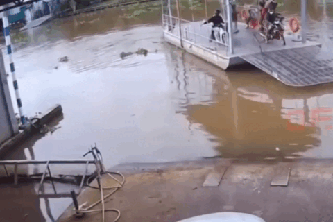 Ô tô con cắm đầu lao xuống nước ở bến phà