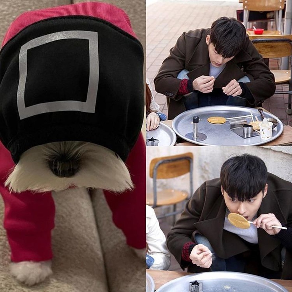 Ảnh chụp chung của Son Ye Jin và Hyun Bin khiến fan phát sốt - 3 Ảnh chụp chung của Son Ye Jin và Hyun Bin khiến fan phát sốt - 3