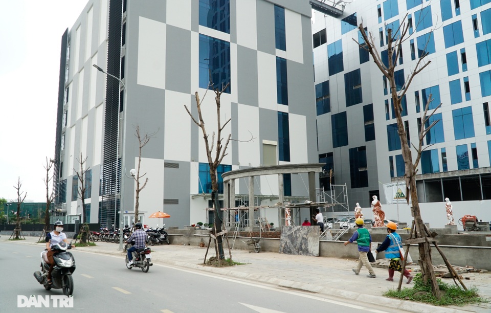 Hàng loạt cây xanh mới trồng chết khô trên khu đất vàng Hà Nội - 6 Hàng loạt cây xanh mới trồng chết khô trên khu đất vàng Hà Nội - 6