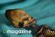 Bí ẩn về người ngoài hành tinh - những câu chuyện chưa thể giải mật