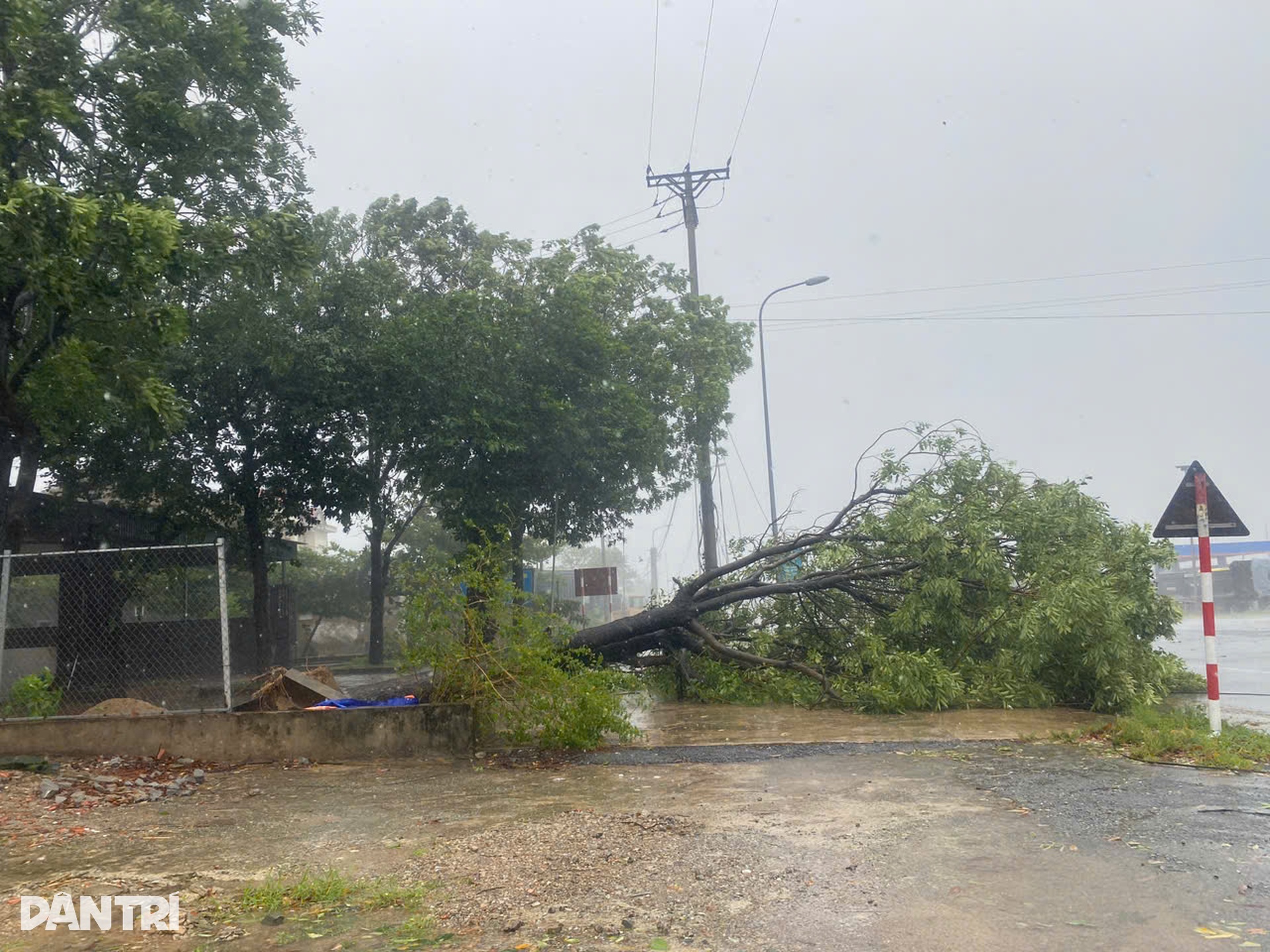 Nghệ An, Hà Tĩnh oằn mình chống bão Kajiki: Cây đổ, nhà tốc mái tứ tung - 8 Nghệ An, Hà Tĩnh oằn mình chống bão Kajiki: Cây đổ, nhà tốc mái tứ tung - 8