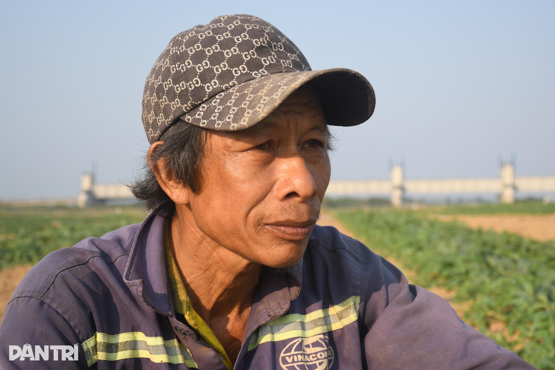 Canh cánh nỗi lo dưa ăn bò, gặm sổ đỏ - 7 Canh cánh nỗi lo dưa ăn bò, gặm sổ đỏ - 7