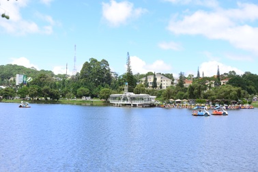 Doanh nghiệp Nhật Bản đề xuất xử lý tảo "độc" ở hồ Xuân Hương Đà Lạt