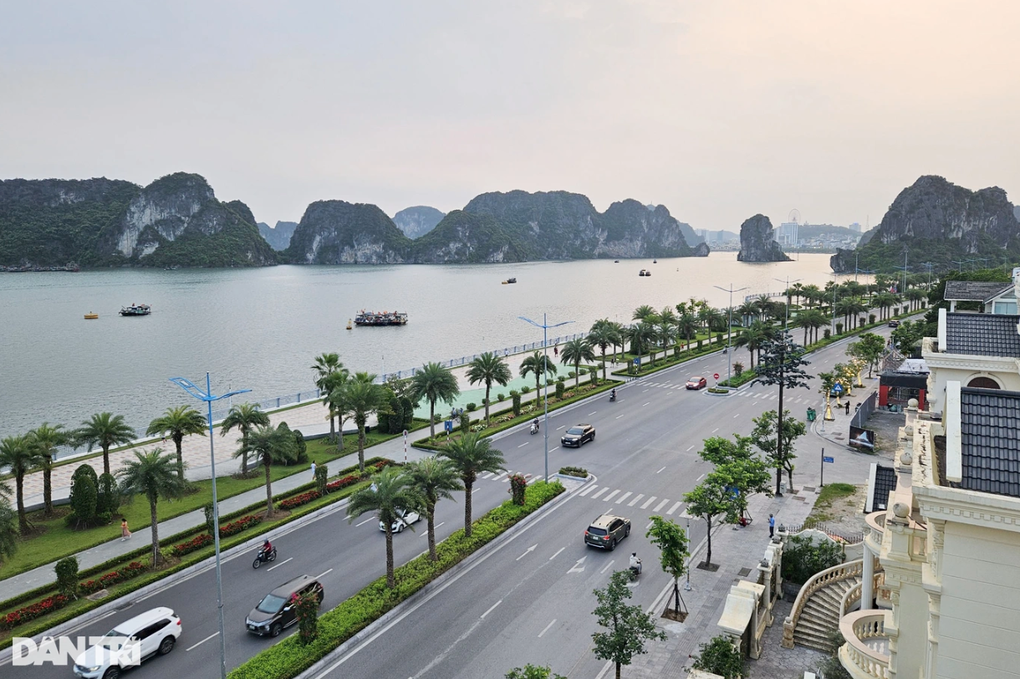 Khởi tố vụ án xảy ra tại Công ty Cây xanh Công Minh - 2 Khởi tố vụ án xảy ra tại Công ty Cây xanh Công Minh - 2