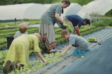 Cha mẹ làm trang trại "thuận tự nhiên" cùng con "chiến đấu" với ung thư