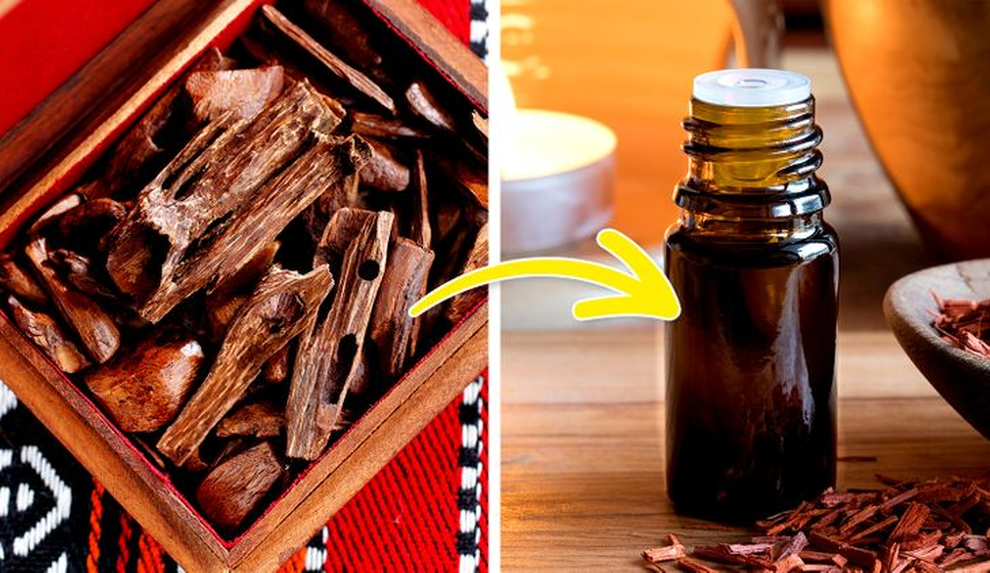 Những thành phần tự nhiên lành tính cho làn da và cách sử dụng - 6 Những thành phần tự nhiên lành tính cho làn da và cách sử dụng - 6