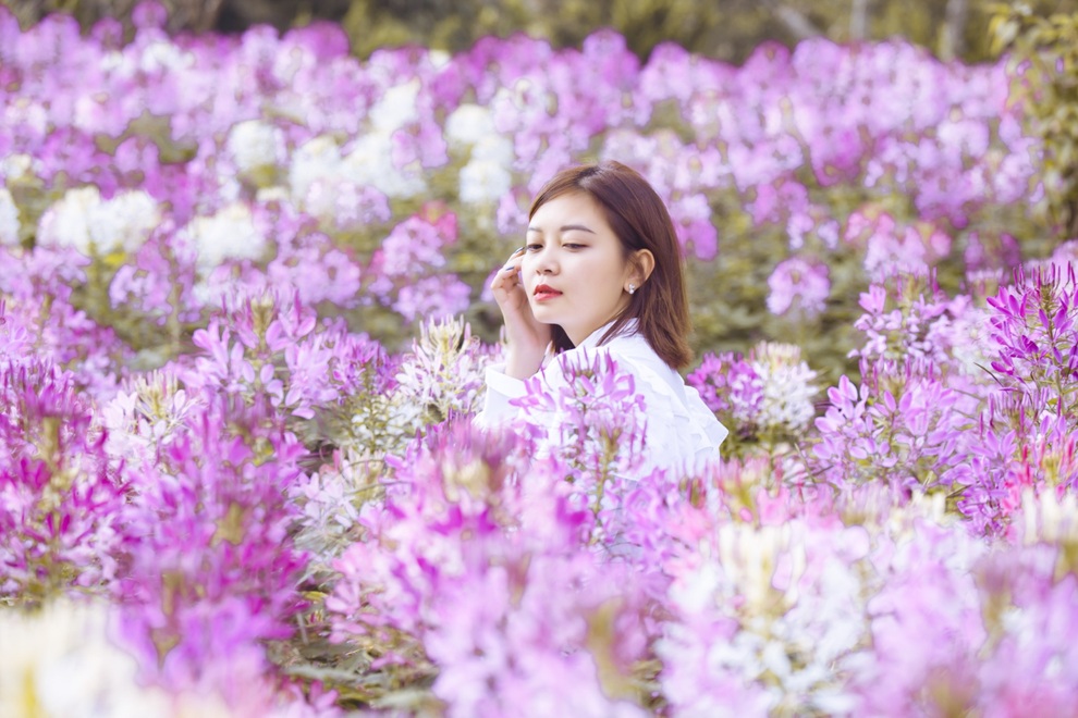 Có một mùa thu gây thương nhớ trên những triền hoa Fansipan - 10 Có một mùa thu gây thương nhớ trên những triền hoa Fansipan - 10