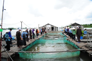 4 tỉnh Bắc miền Trung hợp tác phát triển du lịch với Vùng ĐBSCL