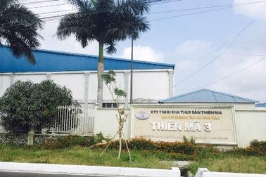 Bắt “đại gia” thủy sản Cần Thơ