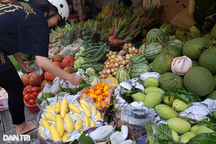 Từ 10.000 đồng một loại trái cây trong mâm ngũ quả cúng Tết tại TPHCM