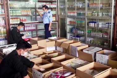 Bắt lô thuốc bảo vệ thực vật "khủng" nghi giả ở An Giang