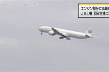 Máy bay Nhật Bản hạ cánh khẩn cấp vì nghi chim bay vào động cơ