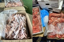 2,5 tấn thực phẩm không có nguồn gốc trong kho đông lạnh ở Đà Lạt