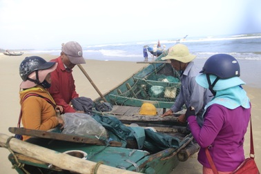 Ngư dân vùng bãi ngang “chạy đua” với thời gian kiếm tiền sắm Tết