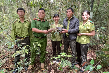 Đi chơi về, phát hiện Tê tê chạy qua đường
