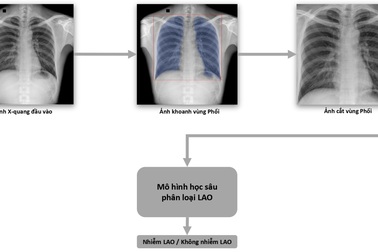 VinBrain và FIT phát hành sách trắng ứng dụng AI cho chuẩn đoán và tầm soát bệnh lao
