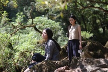 16 phim “bom tấn” tranh giải tại Liên hoan phim Việt Nam lần thứ 21