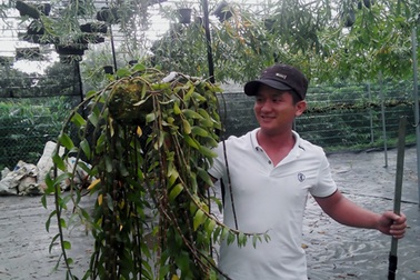 Triệu phú 8x làm giàu từ lan rừng