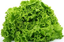 Thực phẩm chống rét