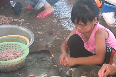 Ngày hè đi lột vỏ tôm