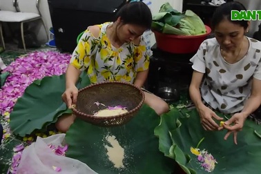 Đệ nhất trà Hà Nội: Làm từ 1000 bông sen, bán giá đắt như vàng