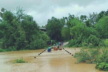 8 người mắc kẹt trong rừng sâu vì mưa lũ