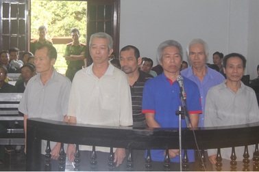 Dọn dẹp cây bụi, bảy cựu chiến binh phạm tội phá rừng?